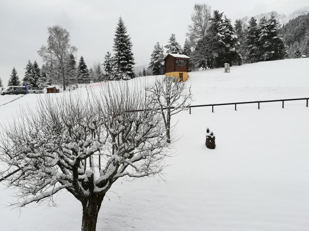 Romantic Chalet-Style Flat With Mountain View Torgon ภายนอก รูปภาพ